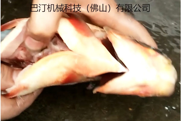 殺魚機的優(yōu)點有哪些?巴汀機械小編為您細數(shù)